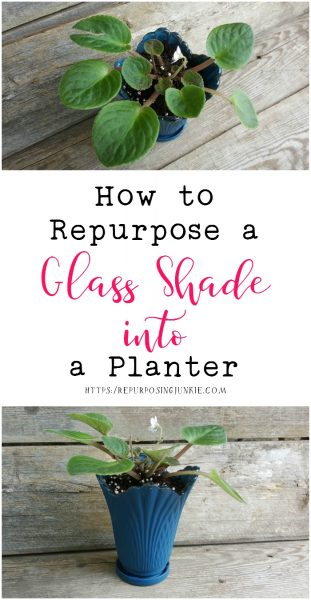 How to Repurpose a Glass Shade into a Planter