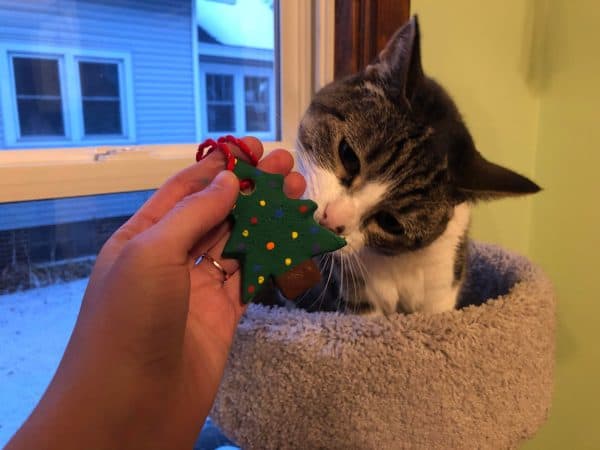 Easy Salt Dough Ornament recipe for Holiday crafts. Cute Salt Dough Ornament in the shape of a Christmas tree.