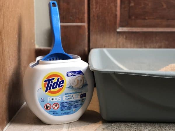 Trash to treasure repurposing tide pods containers. Repurpose tide pod containers. Tide pods. Cat scooper. Cat scoop holder. Litter scooper.